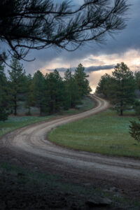 Revenge of the black hand route - gravel road with trees